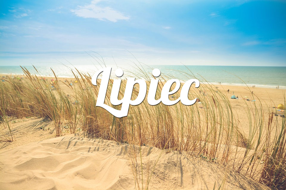 Byk Lipiec 2025
