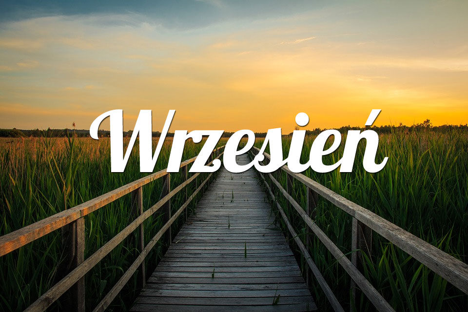 Byk Wrzesień 2025